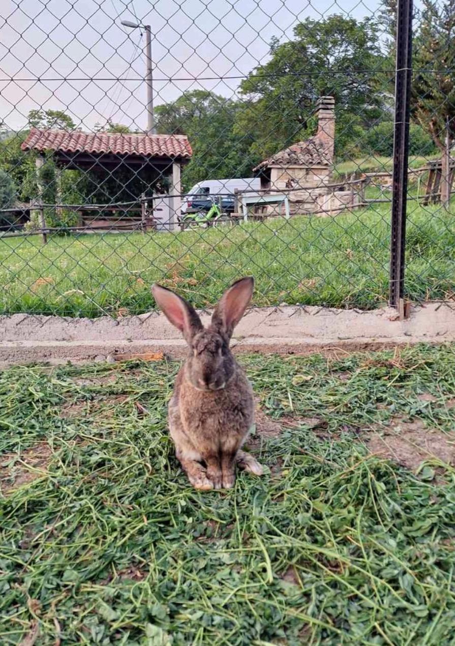Appartamento House Lana Kršan Esterno foto
