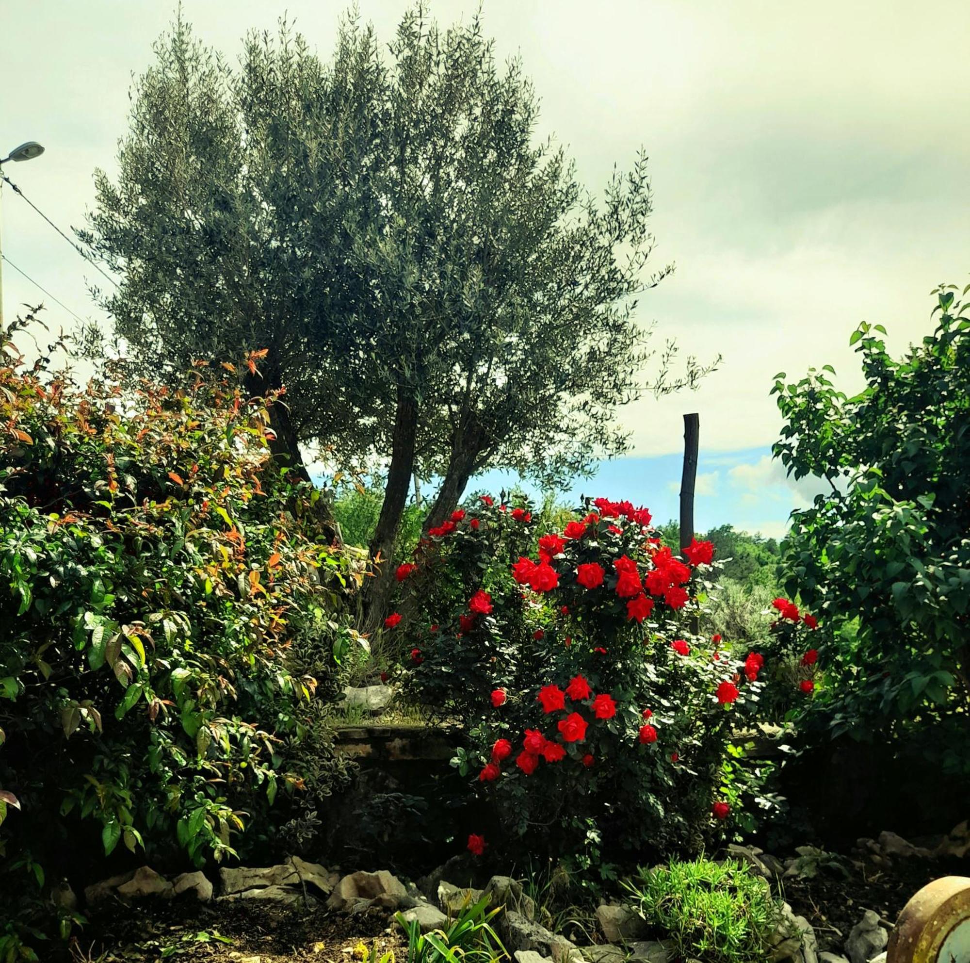 Appartamento House Lana Kršan Esterno foto