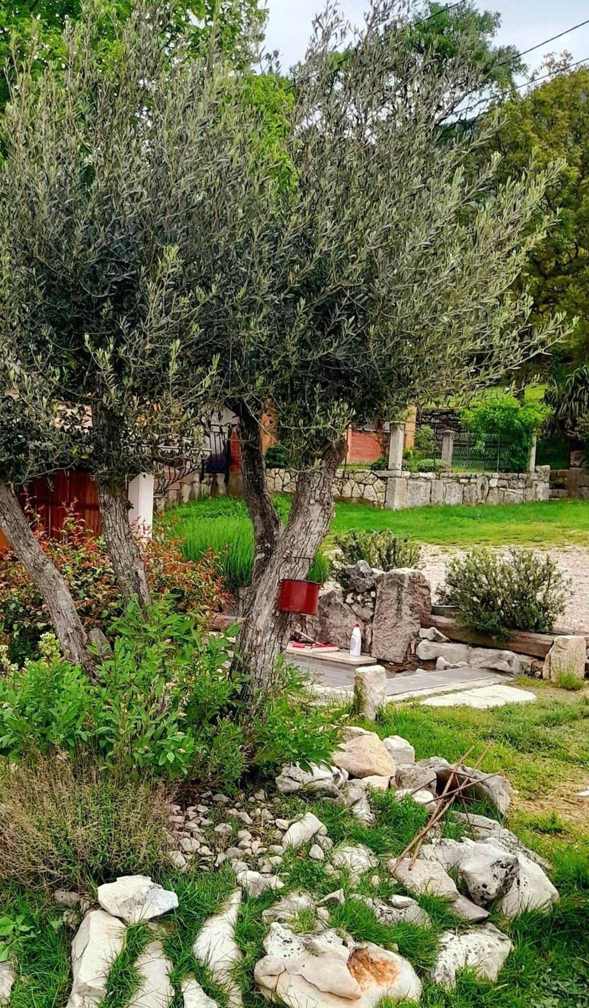 Appartamento House Lana Kršan Esterno foto