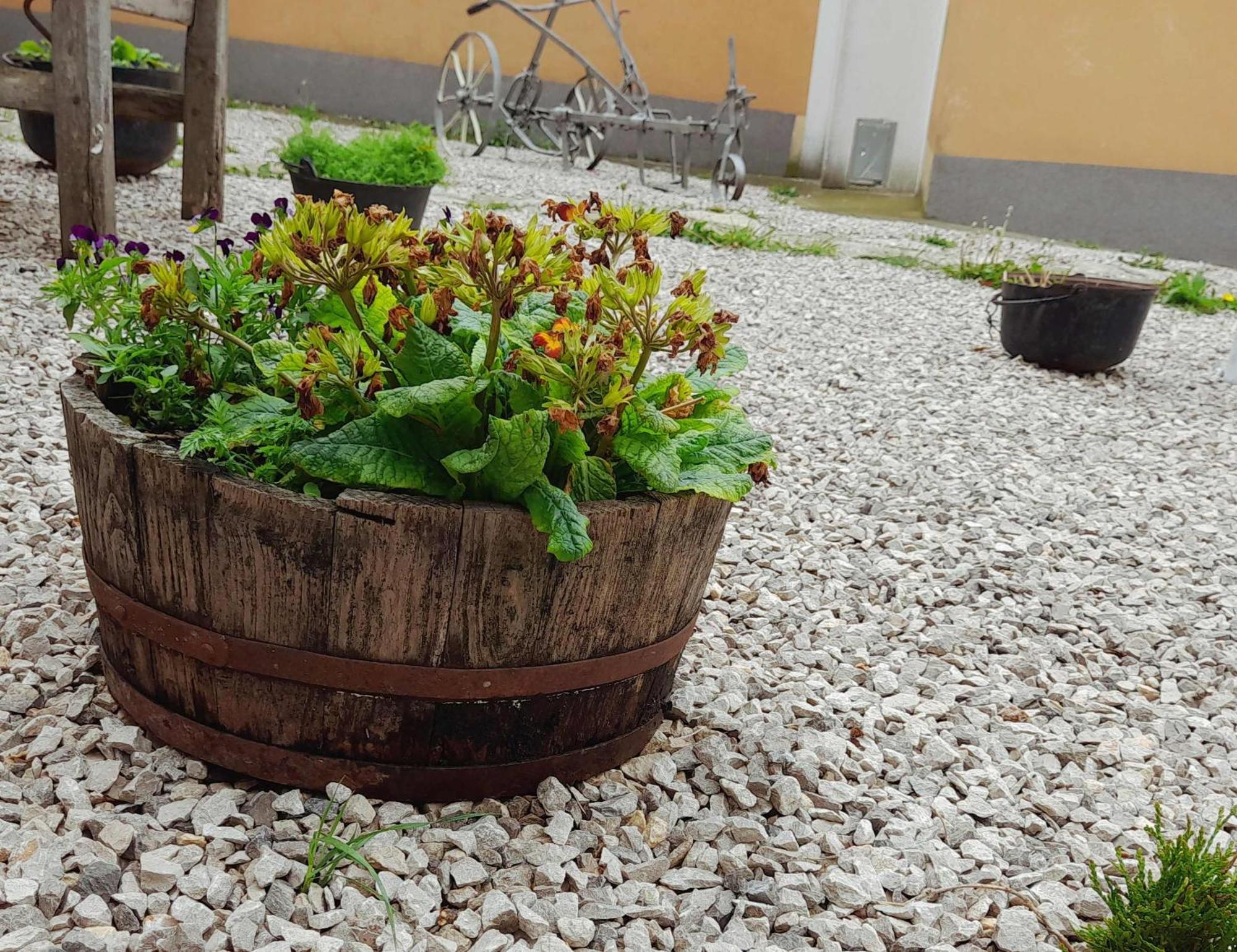 Appartamento House Lana Kršan Esterno foto